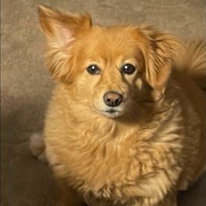 Meet your Posher, Shirley